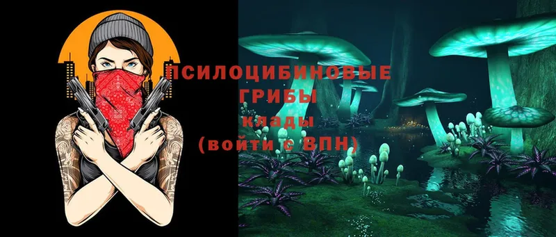 Галлюциногенные грибы Cubensis  Серов 